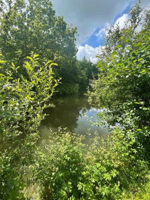 Photo 20- click for photo gallery